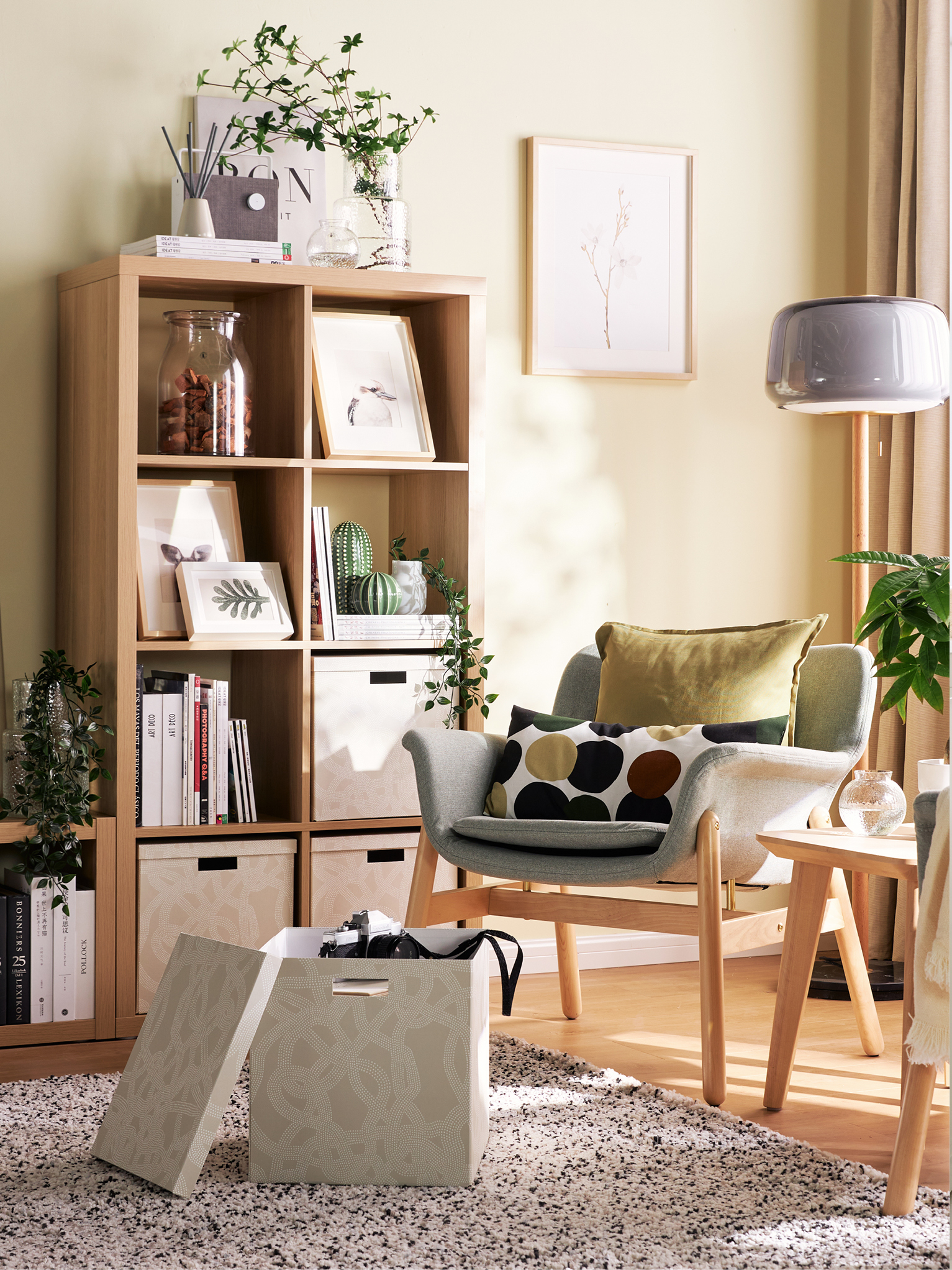 ins-image