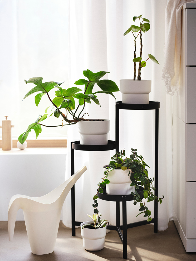ins-image