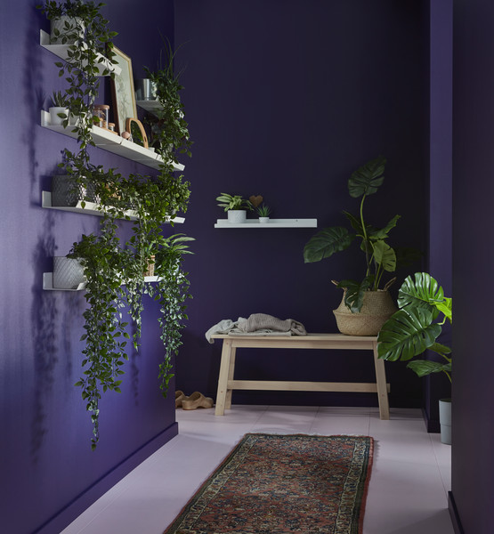 ins-image