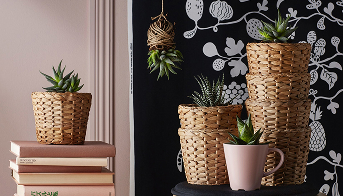 宜家花盆和植物 花盆陶瓷 盆栽植物 Ikea